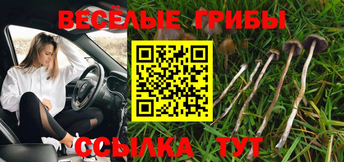 продажа наркотиков  Галлюциногенные грибы мухоморы  Вход с VPN  Луховицы 