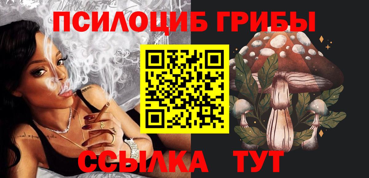 Псилоцибиновые грибы Psilocybine cubensis Луховицы